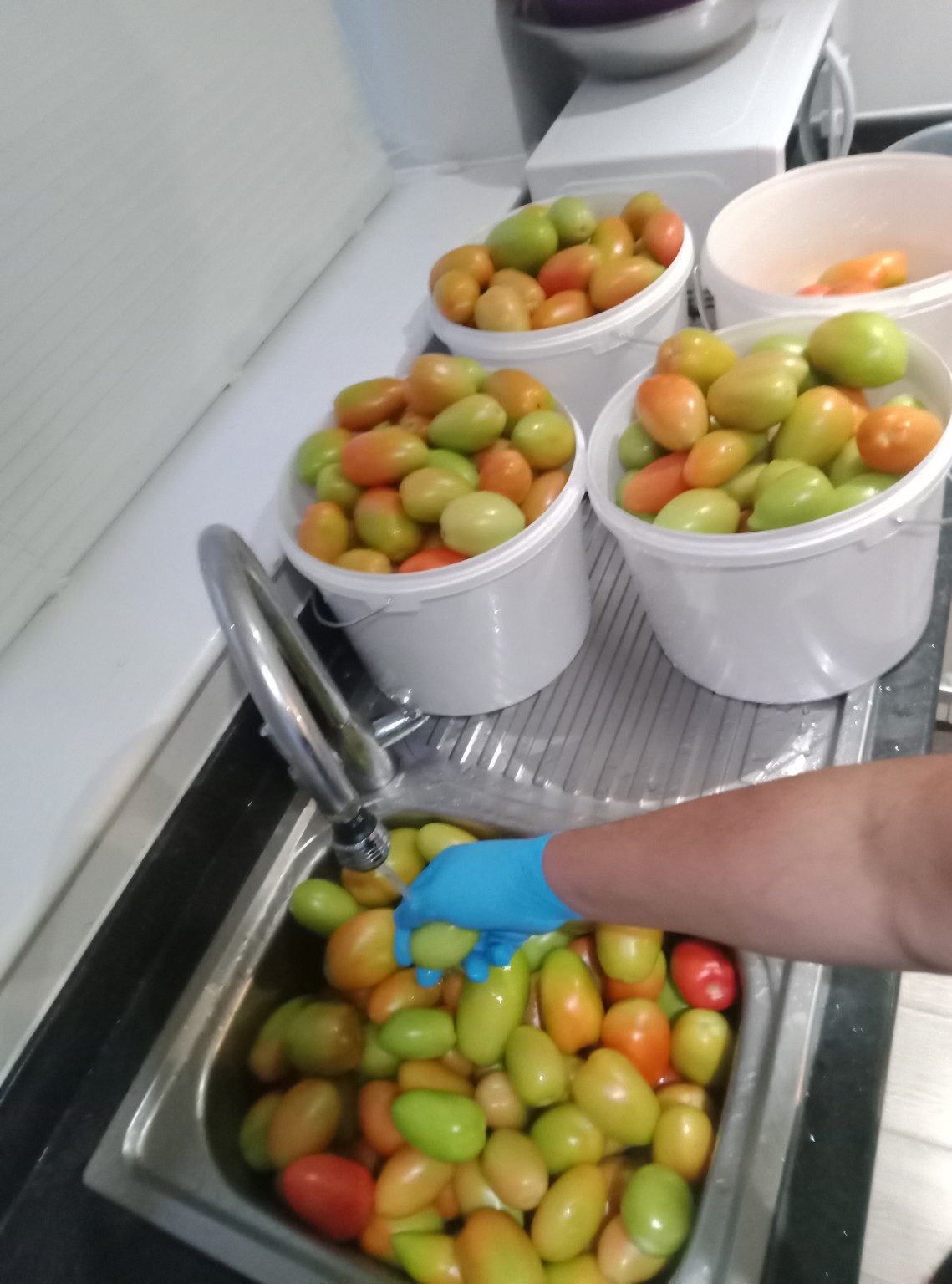 Preparare gogonele 1