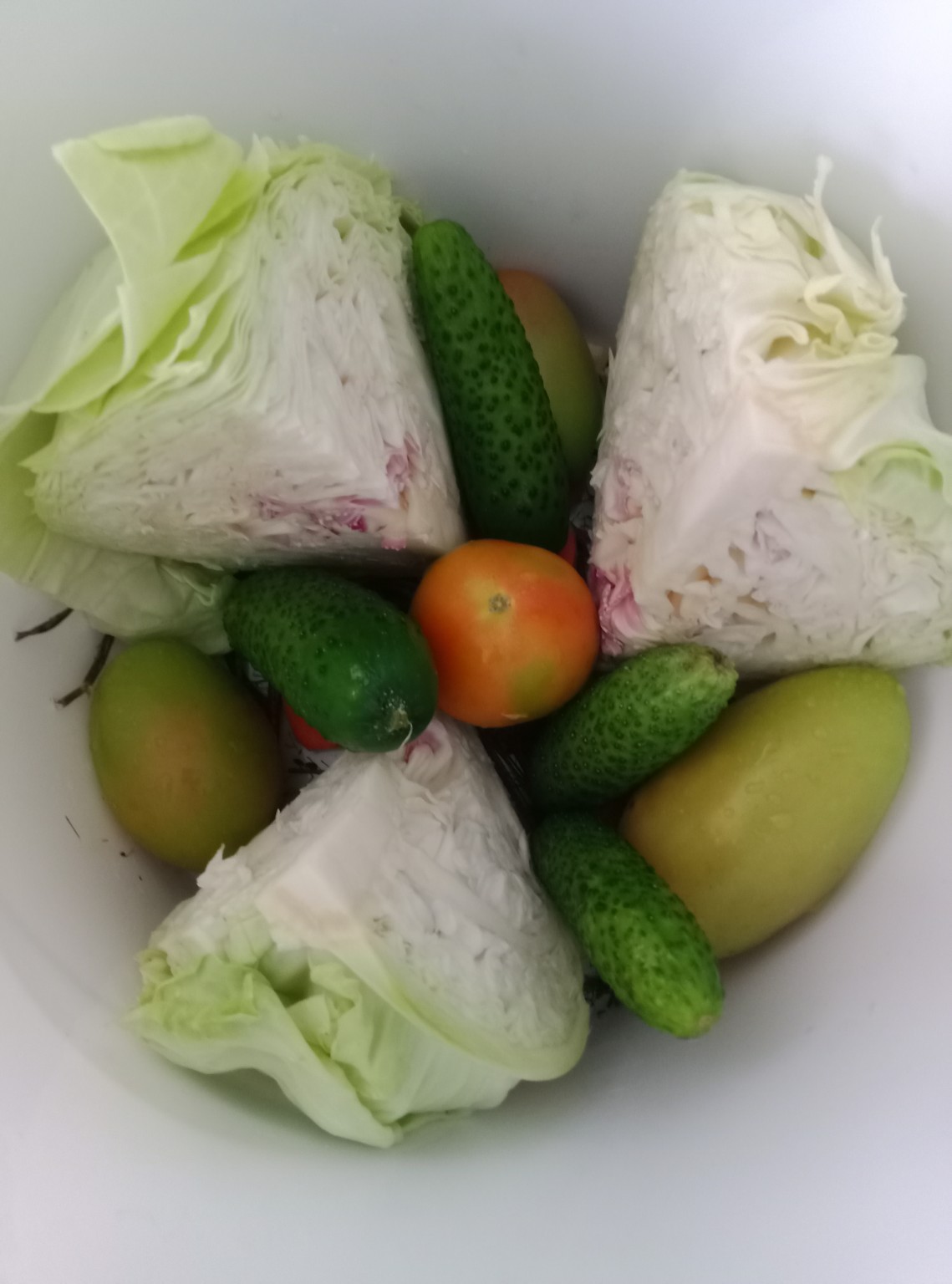 Preparare murături asortate 3